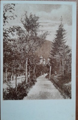 Carte postala, Sinaia, vedere din parc, perioada intebelica foto