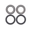 Kit Rulmenti roata spate Polaris Big Boss Scrambler Xplorer Trail 1998-2013 All Balls 25-1151