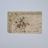 Carte Postala tematica florala litografie, circulata Timisoara 1902, Timis / Banat / Romania