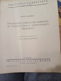 Mircea Vulcănescu - Excedentul populației agricole și perspectivele gospodăriei țărănești