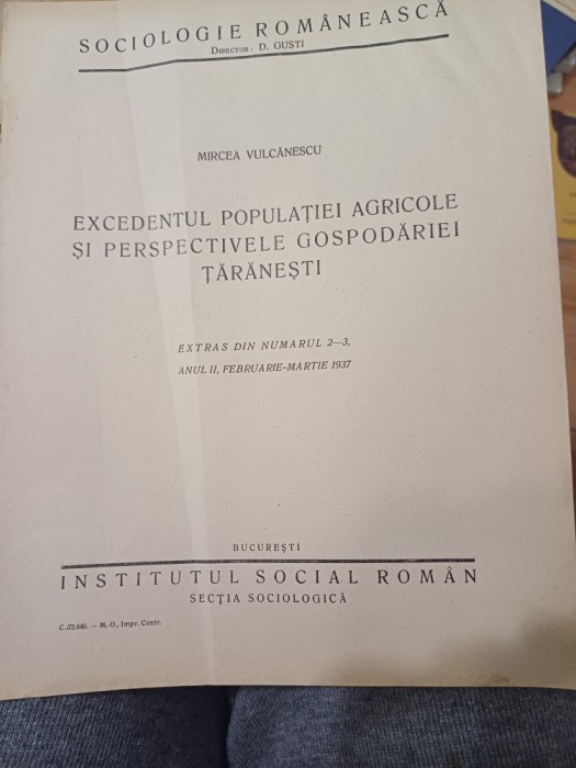 Mircea Vulcănescu - Excedentul populației agricole și perspectivele gospodăriei țărănești