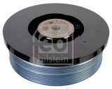 FEBI BILSTEIN 174289 Fulie curea, arbore cotit