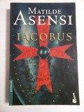 IACOBUS - MATILDE ASENSI