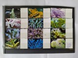 Cumpara ieftin timbre tuvalu 2006