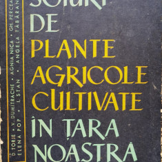 Soiuri De Plante Agricole Cultivate In Tara Noastra - Colectiv ,556497