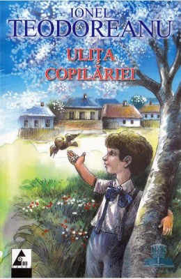 Ulita copilariei foto