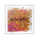 Cumpara ieftin Flori Uscate Unghii LUXORISE - Secret Blossom