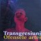 Anthony Julius - Transgresiuni. Ofensele artei (arta conceptuala subversiva transgresiva devianta avangarda modernism manifest protes scandal 175 ill.