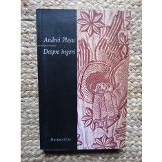 Despre ingeri - Andrei Plesu