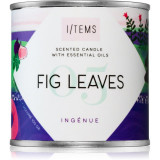 I/TEMS Artist Collection 05 / Fig Leaves lum&acirc;nare parfumată 100 g