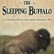 Disturbing the Sleeping Buffalo
