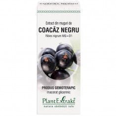 Extract Muguri Coacaz Negru 50ml PlantExtrakt