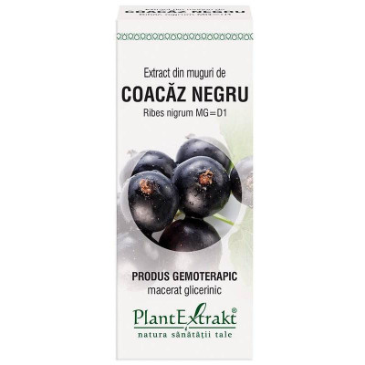 Extract Muguri Coacaz Negru 50ml PlantExtrakt foto