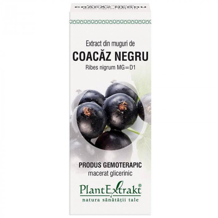 Extract Muguri Coacaz Negru 50ml PlantExtrakt