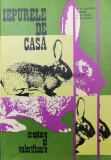 Iepurele de Casa: Crestere si Valorificare - Al. Georgeoni, 1985, 237 Pagini, Zootehnie, Stare Buna