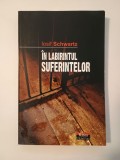 Iosif Schwartz - &Icirc;n labirintul suferințelor: mărturiile unui supraviețuitor al &icirc;nchisorilor comuniste 1958-1962