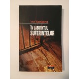 Iosif Schwartz - &Icirc;n labirintul suferințelor: mărturiile unui supraviețuitor al &icirc;nchisorilor comuniste 1958-1962