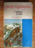 V. Balaceanu - Muntii Fagarasului