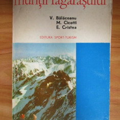 V. Balaceanu - Muntii Fagarasului