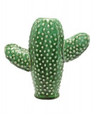 Cumpara ieftin Vaza - Cactus mic | Serax