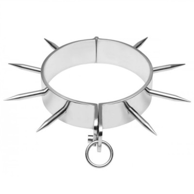 METAL HARD - BDSM SLAVE COLLAR WITH POINTS foto