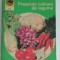 myh 421A - CC67 - Preparate culinare din legume - Brote Veronica - 1974