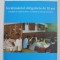 INVATAMANTUL OBLIGATORIU DE 10 ANI - CONDITII DE IMPLEMENTARE , REZULTATE SI MASURI CORECTIVE , 2008