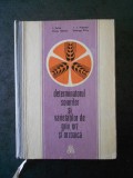 I. SAFTA - DETERMINATORUL SOIURILOR SI VARIETATILOR DE GRAU, ORZ SI ORZOAICA