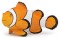 Foto  - 1