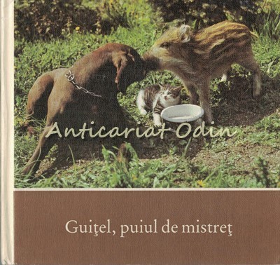 Guitel, Puiul De Mistret - Herbert Seyfarth foto