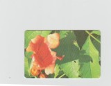 bnk card Cartele telefonice - Romania Romtelecom 2005 - Flowers - Flowers - Puzzle 3/4 - Col:RO-ROM-0285B