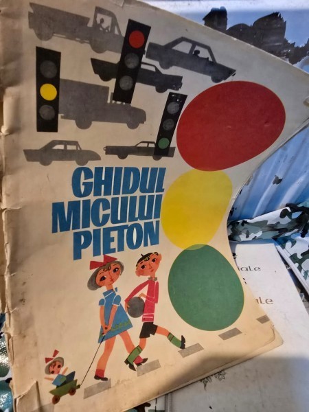 Ghidul micului pieton - Ilustrator Roni Noel