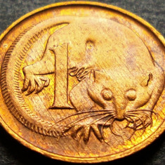 Moneda exotica 1 CENT - AUSTRALIA, anul 1984 *cod 1925 B