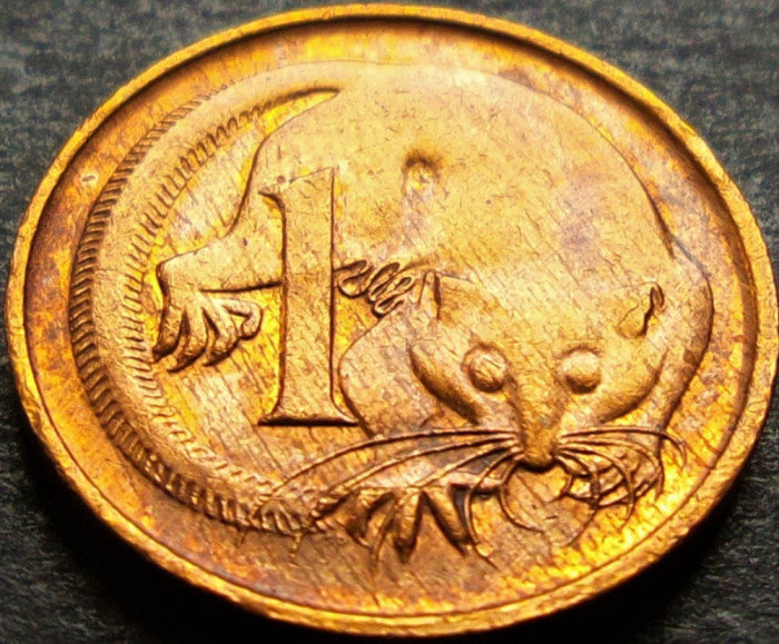 Moneda exotica 1 CENT - AUSTRALIA, anul 1984 *cod 1925 B