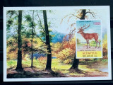 Belarus 1995 fauna , Cerb , animale bloc nedant. neștampilat, Nestampilat