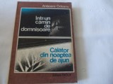 Intr-un camin de domnisoare Anisoara Odeanu 1985