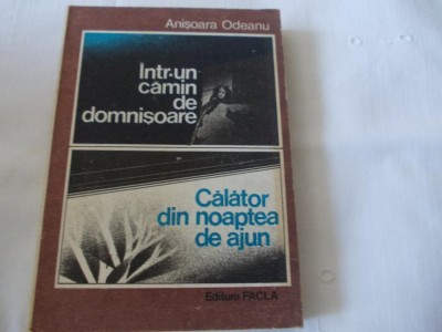 Intr-un camin de domnisoare Anisoara Odeanu 1985 foto