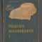 C10603 - PRACTICA AUTOMOBILULUI, VOL. I - PETRE CRISTEA