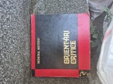 Orientări critice vintage