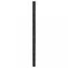Membrană antiburuieni, negru, 2x10 m, PP