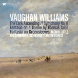 Vaughan Williams - The Lark Ascending, Symphony No. 6 - Vinyl | Ralph Vaughan Williams, Tasmin Little, Andrew Davi