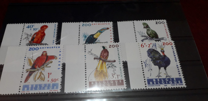 LOT BELGIA Fauna zoo 1962 MNH