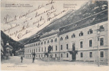 CP Herculane Piata Herkules si Tribunalul Terez ND(1903), Circulata, Fotografie, Baile Herculane