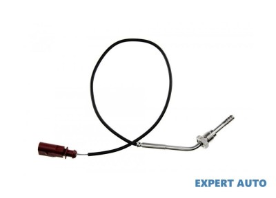 Senzor temperatura gaze dpf Volkswagen Touareg (2002-2010)[7LA,7L6,7L7] #1 foto
