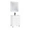 Neo Vision 60 complet - 1