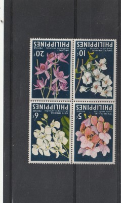 Flora,orhidee ,Filipine. foto