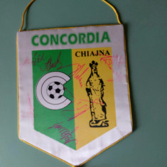 Fanion Concordia Chiajna cu Autografe