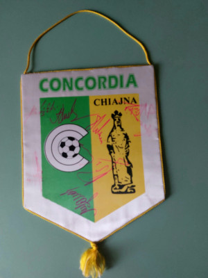 Fanion Concordia Chiajna cu Autografe foto