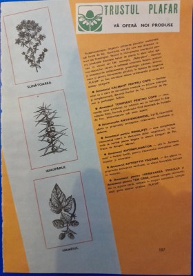 1988 Reclamă Trustul PLAFAR comunism 24x16 cm plante medinale epoca aur foto