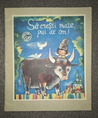 Sa cresti mare, pui de om!
